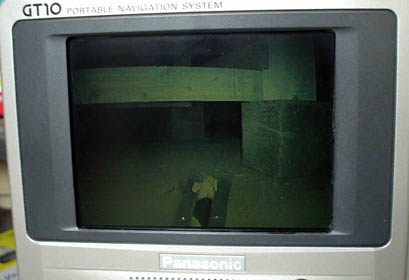 LEOPARD (4).JPG - 18,753BYTES